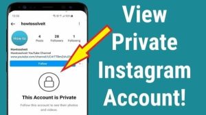 private instagram viewer